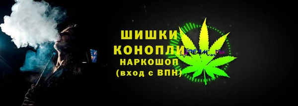 прущие грибы Нея