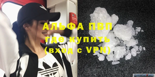 спиды Новодвинск