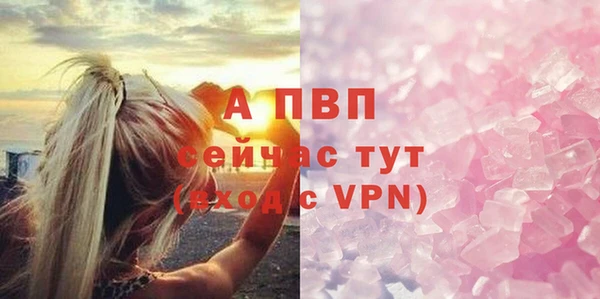 спиды Новодвинск
