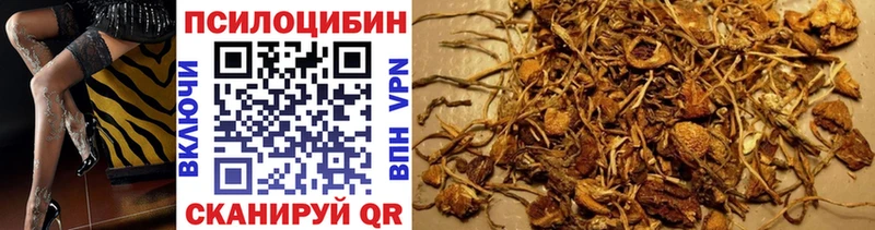 Галлюциногенные грибы GOLDEN TEACHER  Моздок 