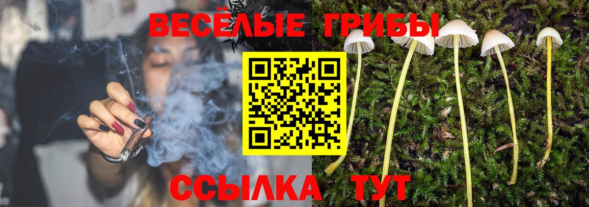 Галлюциногенные грибы MAGIC MUSHROOMS Моздок