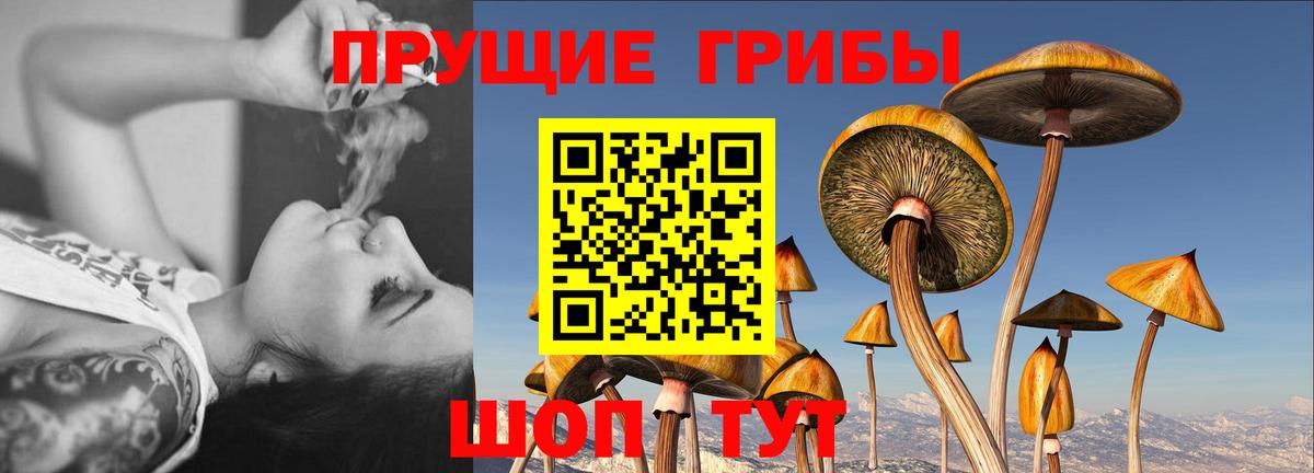 Псилоцибиновые грибы прущие грибы  Вход с VPN  Моздок  Галлюциногенные грибы GOLDEN TEACHER 